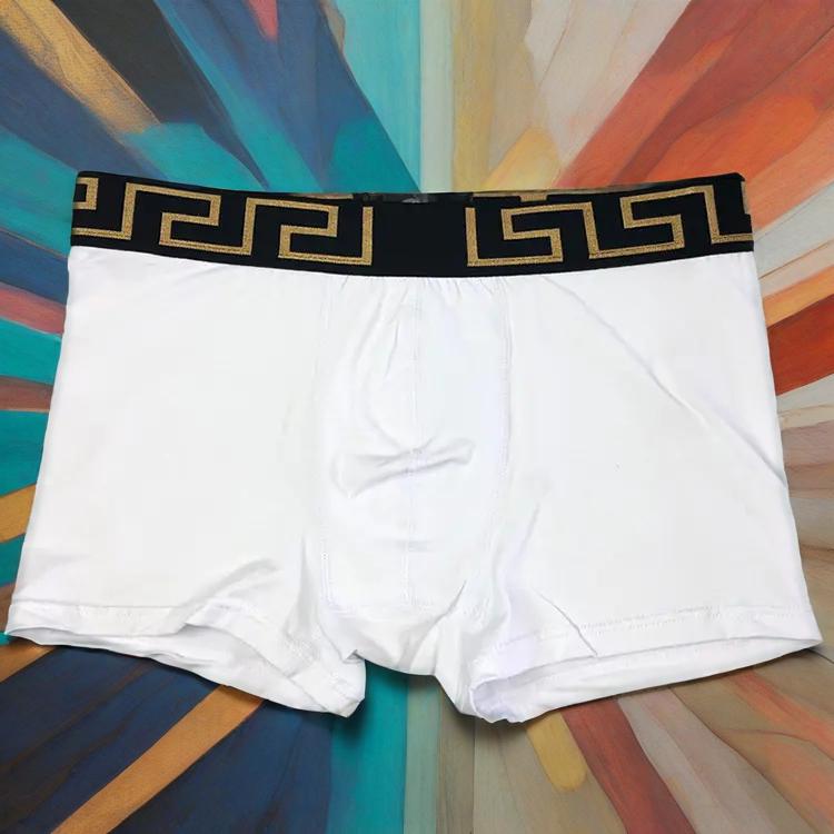 Briefs
