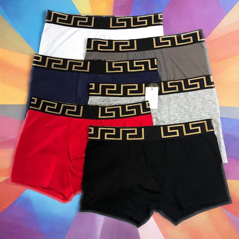 Briefs